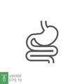 Digestive system, Human stomach and gastrointestinal system Infographic