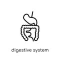 Digestive System icon. Trendy modern flat linear vector Digestive System icon on white background from thin line Human Body Parts