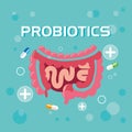 Digestive system with probiotics medicines Royalty Free Stock Photo