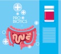 Digestive system with probiotics medicines Royalty Free Stock Photo