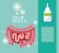 Digestive system with probiotics medicines Royalty Free Stock Photo