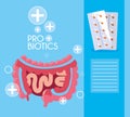Digestive system with probiotics medicines Royalty Free Stock Photo