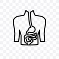 Digestive System vector linear icon isolated on transparent background, Digestive System transparency concept can be used for web