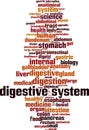 Digestive system word cloud