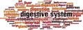 Digestive system word cloud