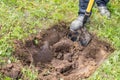 Digging the earth with a spade at countryside. Male foot wearing a rubber boot digging the earth with a spade. iron