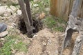 Digging a fence hole in the yard Royalty Free Stock Photo