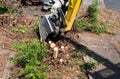 Digging out of trunk and roots with mini excavator. Tree stump removal Royalty Free Stock Photo