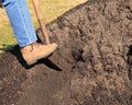 Digging in pile of topsoil Royalty Free Stock Photo