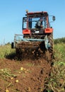 Digging of potatoes in a field