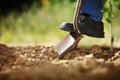 Digging soil Royalty Free Stock Photo