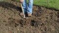 Digging with a spade, close up.