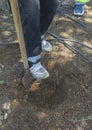 Digging the tree pit with the stamped spade Royalty Free Stock Photo