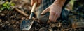 Digging up truffle mushroom in the forest. Selective focus. Royalty Free Stock Photo