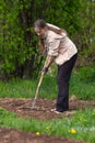 Digging woman in the garden Royalty Free Stock Photo