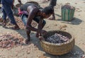 A Local Fish seller sorting Small Fishes.