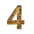 Digit four, 4 is cut from white paper with autumn fern leaves background, late autumn font or alphabet. Collection of decorative