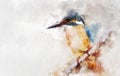 Watercolor painting illustration of kingfisher bird on stick