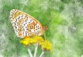 Watercolor painting illustration of butterfly on yellow flower in green background Royalty Free Stock Photo