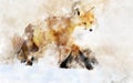 Watercolor painting illustration of a fox stalking