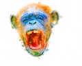Colorful abstract painting illustration of an angry chimpanzee yelling