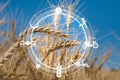 Digital agricultural messages and icons on field background