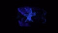 Digital animation of VKontakte app icon decaying into multicolored moving plexus networks on black background. animation