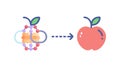 Digital Apple Transformation Icon, Data Evolution and Innovation Vector, vector design Generative AI Royalty Free Stock Photo