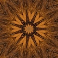 Digital art design, star made of branches of a tree