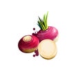 Digital art illustration of Rutabaga or Brassica napus isolated on white background. Organic healthy food. Red root vegetable. Royalty Free Stock Photo