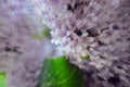 Digital art. Lilac bouquet with green leaves. Explosion simulation.