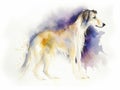 Digital art in the style of a watercolor painting of a beautiful russian borzoi dog, standing Royalty Free Stock Photo