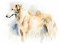 Digital art in the style of a watercolor painting of a beautiful russian borzoi dog, standing Royalty Free Stock Photo