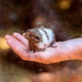 Digital Abstract Watercolor Of A Hand Held Guinea Pig Royalty Free Stock Photo