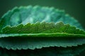 Digital artwork of close up of a green leaf with several different layers