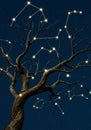 A digital artwork depicting a barren tree with branches extending against a starry Royalty Free Stock Photo
