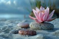 Digital artwork of  group of stones with a pink water lily on the sand Royalty Free Stock Photo