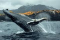 Digital artwork of  humpback whale breaching out of the water, high quality, high resolution Royalty Free Stock Photo
