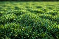 Digital artwork of seamless texture of green grass, top view, perfect for creating realistic football fields or lawn backgro