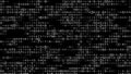 Digital background black matrix. Matrix background. Binary computer code. Hacker coding concept. 3D rendering Royalty Free Stock Photo