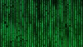 Digital background green matrix. Matrix background. Binary computer code. Hacker coding concept. 3D rendering