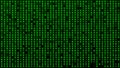 Digital background green matrix. Matrix background. Binary computer code. Hacker coding concept. 3D rendering
