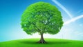 Digital ball with tree against nature with digital . Ecology, Energy, Environment, Green Technology,