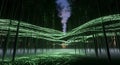 Digital Bamboo Forest with Binary Code Data Streams Royalty Free Stock Photo