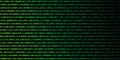 Digital binary code web technology background green and black Royalty Free Stock Photo