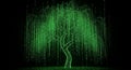 Digital Binary Tree of Life Green Matrix Code Weeping Willow in Darkness Royalty Free Stock Photo