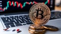 Digital bitcoin coin standing upright on a stack of coins in front of a laptop screen displaying financial charts Royalty Free Stock Photo