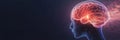 A digital brain fuses with AI elements like circuits and holograms, showcasing the potential of technology in enhancing