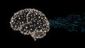 Digital Brain with Glowing Network and Binary Code â Concept of AI and Neural Systems Royalty Free Stock Photo