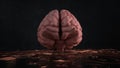 Digital Brain Dark Background